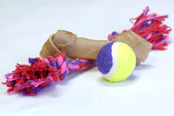 Іграшки для собак - сирень, м'яч та іграшка для буксирування — стокове фото