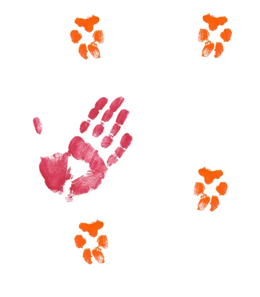 Finger painted hand petting dog prints on white — Stock Photo, Image