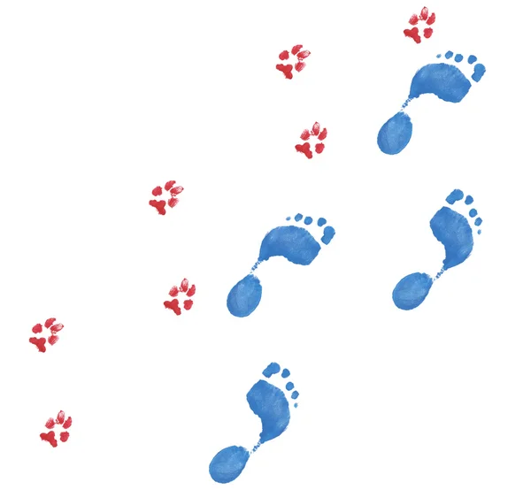 Man's best friend - human and dog paw prints — Stock Photo, Image