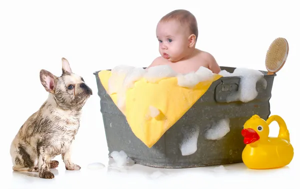 Ребенок и щенок, принимающий ванну — стоковое фото