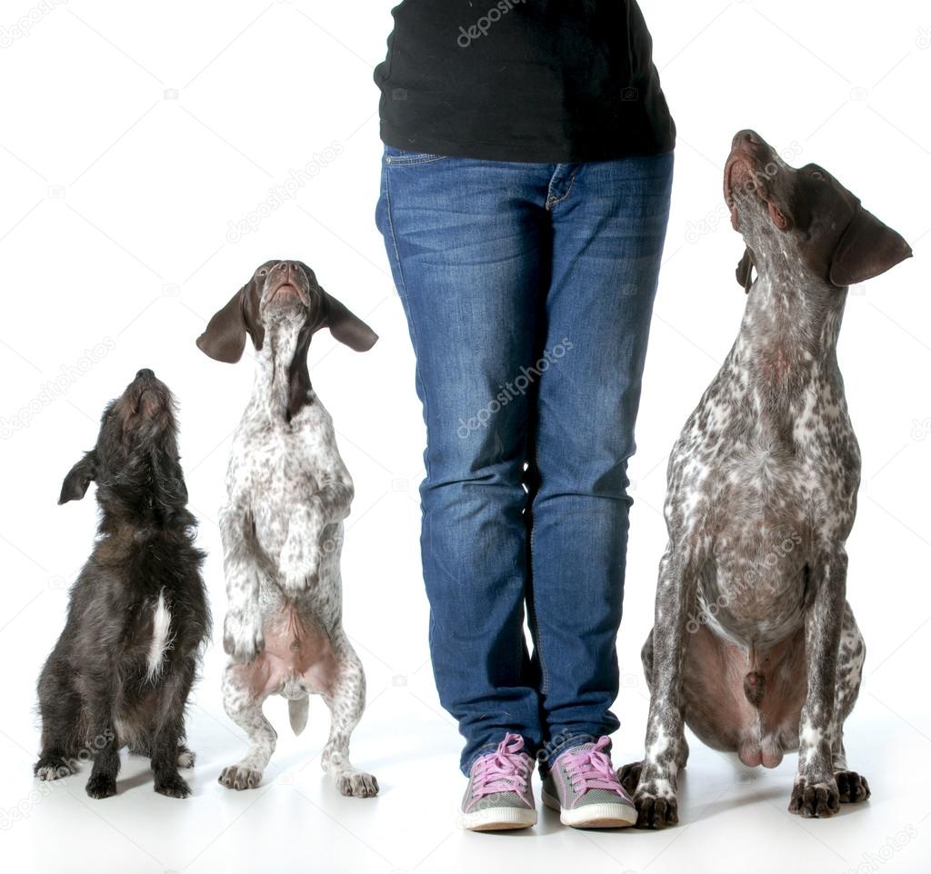 Woman and her dogs