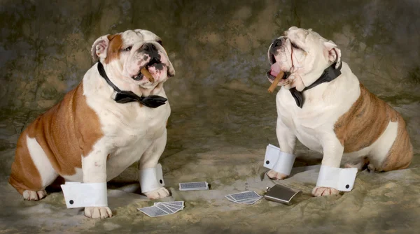 Gioco di poker — Foto Stock