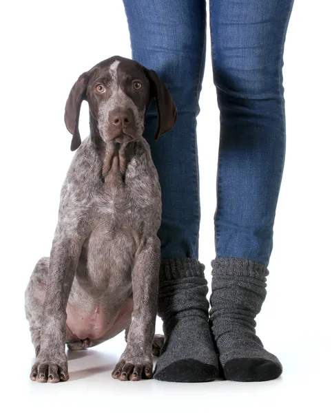 Vrouw en hond — Stockfoto