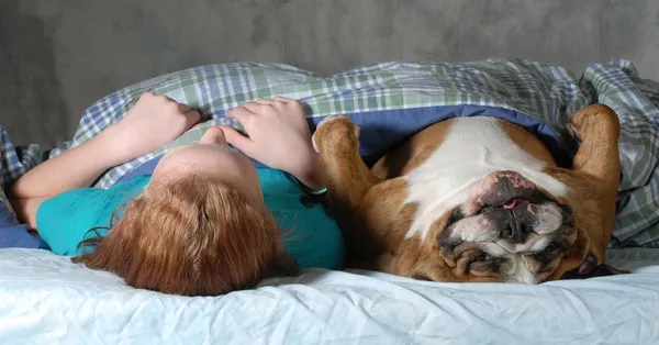 Dog in bed — Stock Photo, Image