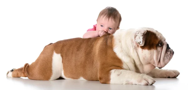Barnet med bulldog — Stockfoto