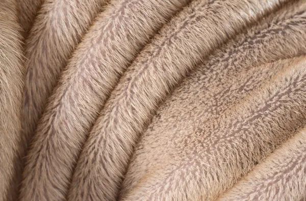 Coat texture of chinese shar pei — Stock Photo, Image