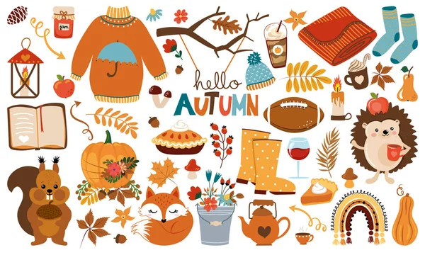 你好秋天 可爱的动物角色和花园元素 收集秋天元素的剪贴簿 舒适的毛衣 美式足球 林地人物 完全陷落的感觉 — 图库矢量图片