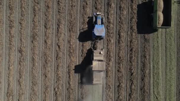 Luftaufnahme des Traktors beim Ernten von Erdnüssen — Stockvideo