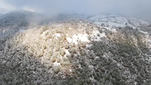 Floresta nebulosa de inverno altas montanhas cobertas de neve — Vídeo de Stock