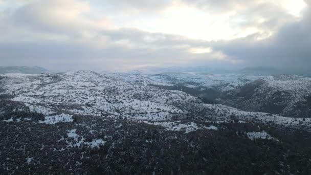 冬季森林山脉覆盖雪地无人驾驶飞机 — 图库视频影像