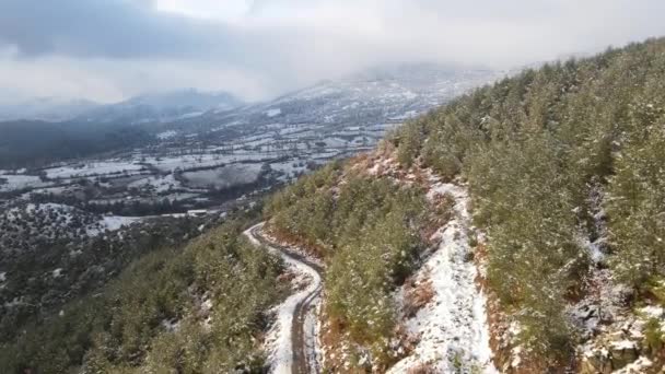 Zimowy las wysokie wzgórze pokryte śniegiem — Wideo stockowe