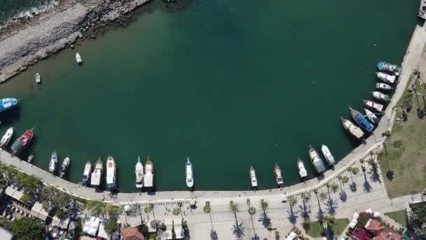 Några båtar förtöjda i en liten hamn — Stockvideo