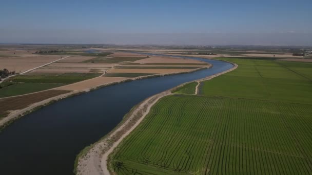 Vue aérienne de terres agricoles alimentées par une grande rivière — Video