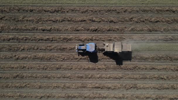 Drohnen-Ansicht von Erdnussernte-Traktor — Stockvideo