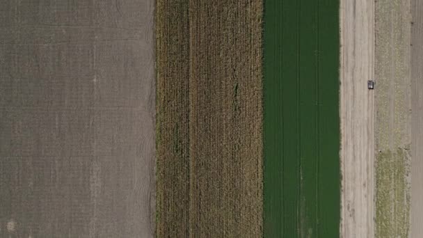 Vue aérienne de terres agricoles avec différentes tonalités de couleur — Video