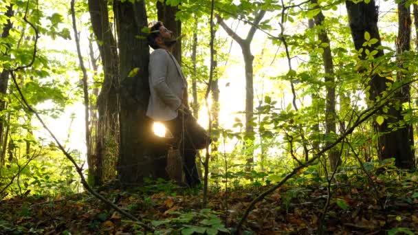 Άνθρωπος Φθινόπωρο Δάσος — Αρχείο Βίντεο