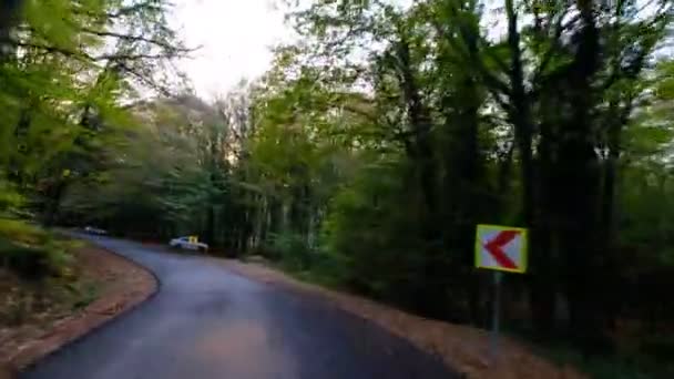 Bosque de otoño de coche — Vídeo de stock