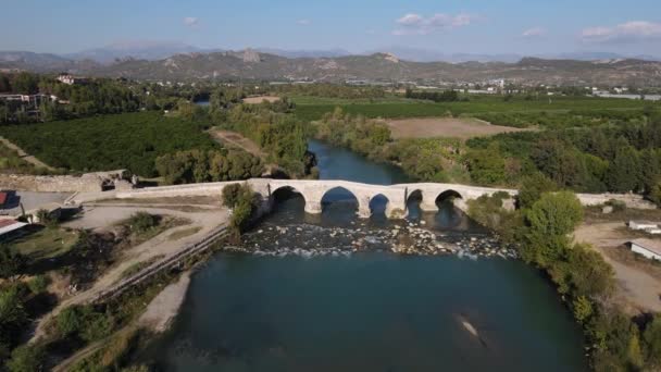 Great historic bridge — Stock Video