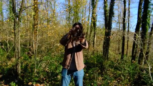 Trockenes Herbstlaub — Stockvideo