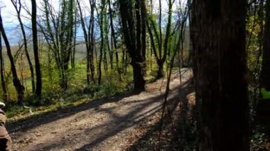 Yürüyen Adam Sonbaharı