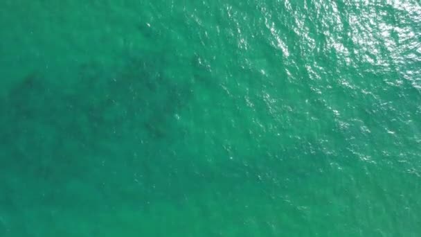 海の水の背景 — ストック動画