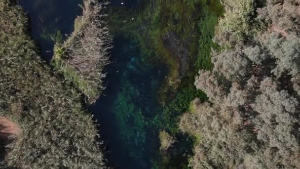 Letecký pohled na řeku Azmak — Stock video