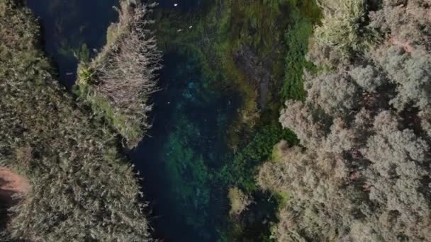 Azmak River airview — 비디오