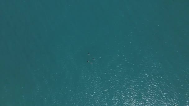 Úszás drón felett — Stock videók