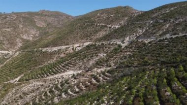 Yeniden ağaçlandırma hava görüntüsü