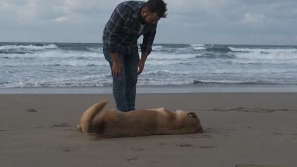 Man en hond strand — Stockvideo