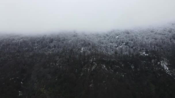 Nieve niebla paisaje del bosque — Vídeos de Stock