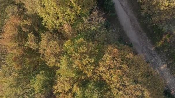 Sonbahar hiking trail — Stok video