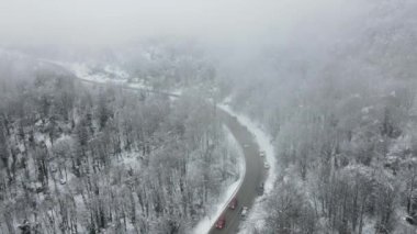 Snowy orman yolu