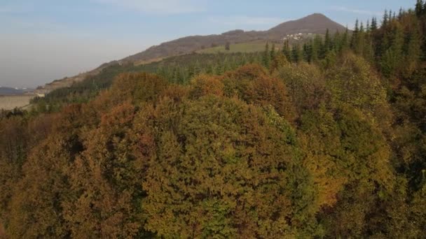Вид на лес осенью — стоковое видео