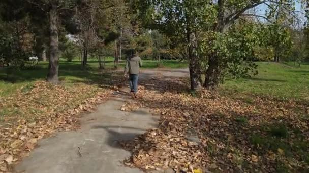 Прогулянковий ліс осінь — стокове відео