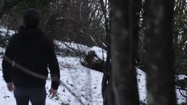 木の間を潜る男 — ストック動画