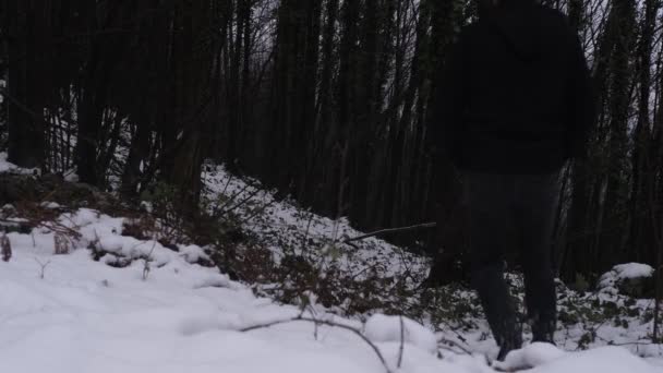 Spaziergang im verschneiten Wald — Stockvideo