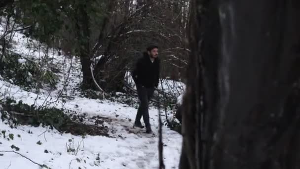 Περπατήστε δέντρα προοπτική — Αρχείο Βίντεο