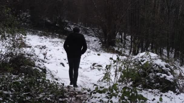 Duiken in het besneeuwde bos — Stockvideo