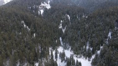 Büyük orman alanı