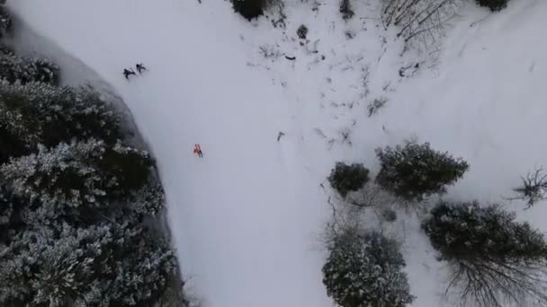 Зимові види спорту — стокове відео