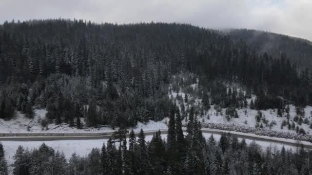 冬季森林与道 — 图库视频影像