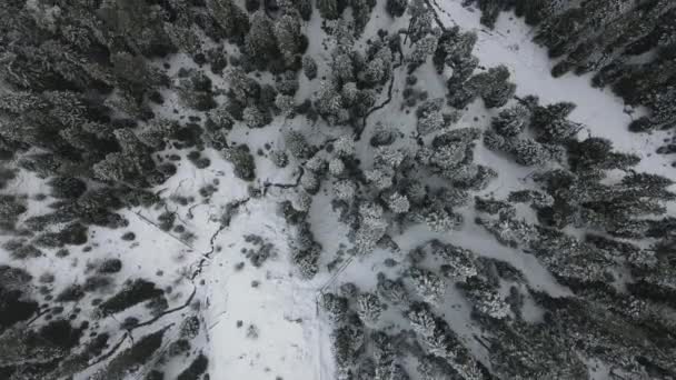 Montanha pico nevado — Vídeo de Stock