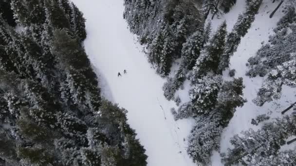 Letecká lyžařská plošina — Stock video