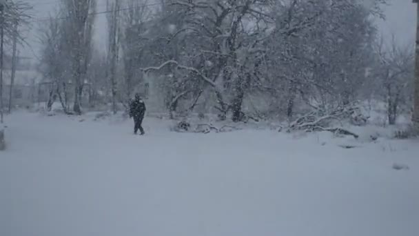 De sneeuw berijden — Stockvideo