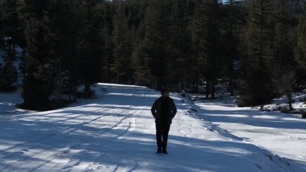 Procházky ve sněhu — Stock video