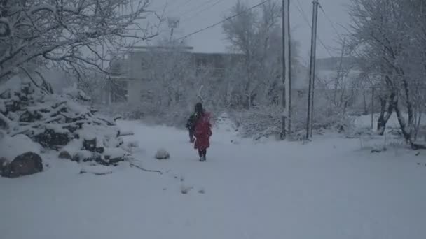 Familia corriendo nevadas — Vídeos de Stock