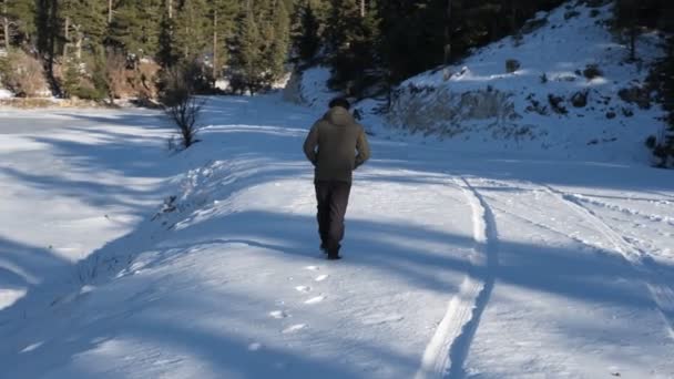 Snowy Nature Walk — Stock video