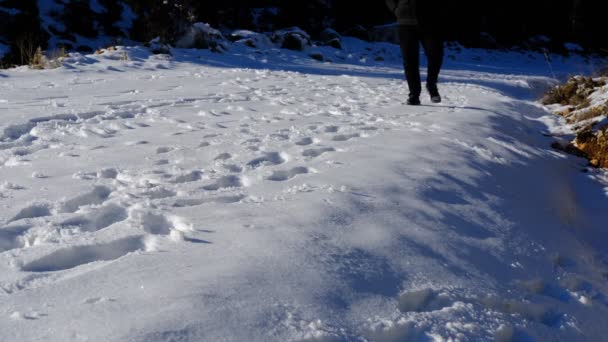 Tracks In Snow — Stock Video