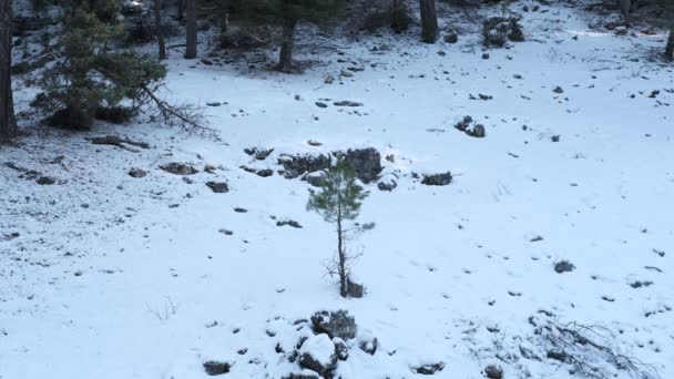 Περπατώντας στην κοιλάδα — Αρχείο Βίντεο